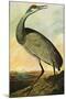 Audubon Sandhill Crane Bird-null-Mounted Art Print