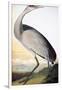 Audubon: Sandhill Crane-John James Audubon-Framed Giclee Print