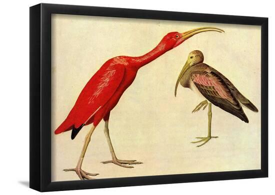 Poster, , large