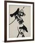 Audubon Silhouette VI-Vision Studio-Framed Art Print