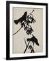 Audubon Silhouette VI-Vision Studio-Framed Art Print