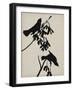 Audubon Silhouette VI-Vision Studio-Framed Art Print