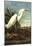 Audubon Snowy Egret Bird Art Poster Print-null-Mounted Poster