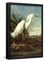 Audubon Snowy Egret Bird Art Poster Print-null-Framed Poster