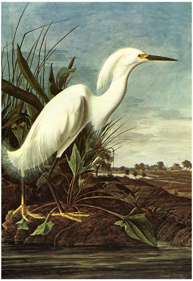 Poster, , large
