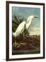 Audubon Snowy Egret Bird-null-Framed Art Print