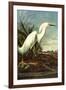 Audubon Snowy Egret Bird-null-Framed Art Print