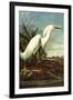 Audubon Snowy Egret Bird-null-Framed Art Print