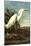 Audubon Snowy Egret Bird-null-Mounted Art Print