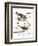 Audubon: Sparrow, 1827-38-John James Audubon-Framed Giclee Print