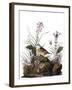 Audubon: Sparrow, 1827-38-John James Audubon-Framed Giclee Print