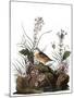 Audubon: Sparrow, 1827-38-John James Audubon-Mounted Premium Giclee Print