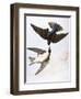 Audubon: Swallows, 1827-38-John James Audubon-Framed Giclee Print