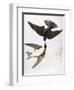 Audubon: Swallows, 1827-38-John James Audubon-Framed Giclee Print