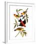 Audubon: Tanager, 1827-John James Audubon-Framed Giclee Print