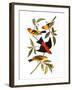 Audubon: Tanager, 1827-John James Audubon-Framed Giclee Print