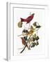 Audubon: Tanager-John James Audubon-Framed Giclee Print