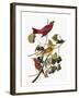 Audubon: Tanager-John James Audubon-Framed Giclee Print