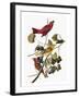 Audubon: Tanager-John James Audubon-Framed Giclee Print