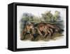 Audubon: The Cougar-John Woodhouse Audubon-Framed Stretched Canvas