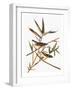 Audubon: Vireo-John James Audubon-Framed Giclee Print