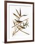 Audubon: Vireo-John James Audubon-Framed Giclee Print