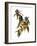 Audubon: Warbler, 1827-38-John James Audubon-Framed Giclee Print