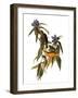 Audubon: Warbler, 1827-38-John James Audubon-Framed Giclee Print