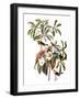 Audubon: Warbler, 1827-38-John James Audubon-Framed Giclee Print