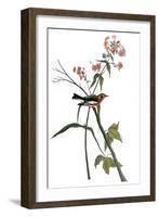 Audubon: Warbler, 1827-38-John James Audubon-Framed Giclee Print