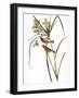 Audubon: Warbler, 1827-John James Audubon-Framed Giclee Print