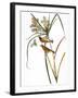 Audubon: Warbler, 1827-John James Audubon-Framed Giclee Print