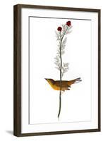 Audubon: Warbler, 1827-John James Audubon-Framed Giclee Print