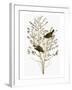 Audubon: Warbler-John James Audubon-Framed Giclee Print