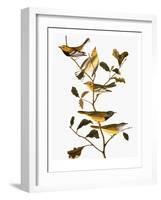 Audubon: Warbler-John James Audubon-Framed Giclee Print