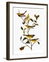 Audubon: Warbler-John James Audubon-Framed Giclee Print