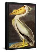 Audubon White Pelican Bird Art Poster Print-null-Framed Poster