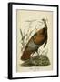 Audubon Wild Turkey-John James Audubon-Framed Art Print