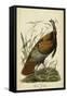 Audubon Wild Turkey-John James Audubon-Framed Stretched Canvas