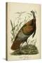 Audubon Wild Turkey-John James Audubon-Stretched Canvas