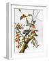 Audubon: Woodpecker, 1827-John James Audubon-Framed Giclee Print