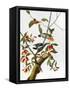 Audubon: Woodpecker, 1827-John James Audubon-Framed Stretched Canvas