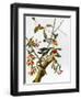 Audubon: Woodpecker, 1827-John James Audubon-Framed Giclee Print