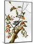 Audubon: Woodpecker, 1827-John James Audubon-Mounted Giclee Print