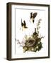 Audubon: Yellow Chat-John James Audubon-Framed Giclee Print