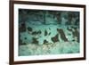 Aufeis on Kongakut River, Arctic National Wildlife Refuge, Alaska, USA-Art Wolfe-Framed Photographic Print