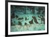 Aufeis on Kongakut River, Arctic National Wildlife Refuge, Alaska, USA-Art Wolfe-Framed Photographic Print
