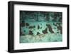 Aufeis on Kongakut River, Arctic National Wildlife Refuge, Alaska, USA-Art Wolfe-Framed Photographic Print