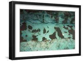 Aufeis on Kongakut River, Arctic National Wildlife Refuge, Alaska, USA-Art Wolfe-Framed Photographic Print