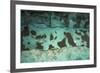 Aufeis on Kongakut River, Arctic National Wildlife Refuge, Alaska, USA-Art Wolfe-Framed Premium Photographic Print